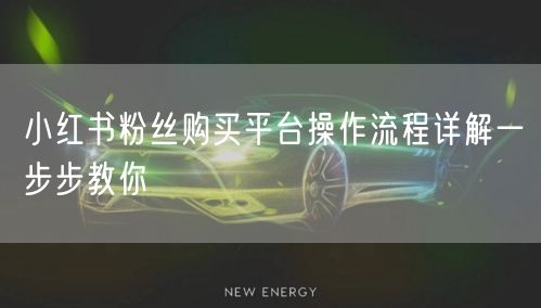 小红书粉丝购买平台操作流程详解一步步教你
