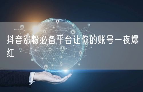 抖音涨粉必备平台让你的账号一夜爆红