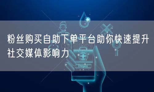 粉丝购买自助下单平台助你快速提升社交媒体影响力