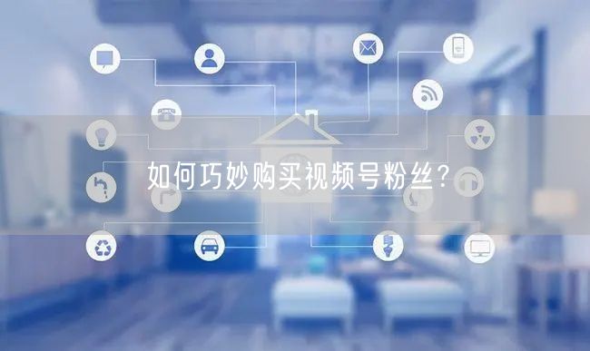 如何巧妙购买视频号粉丝?