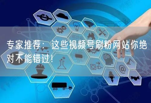 专家推荐:这些视频号刷粉网站你绝对不能错过!