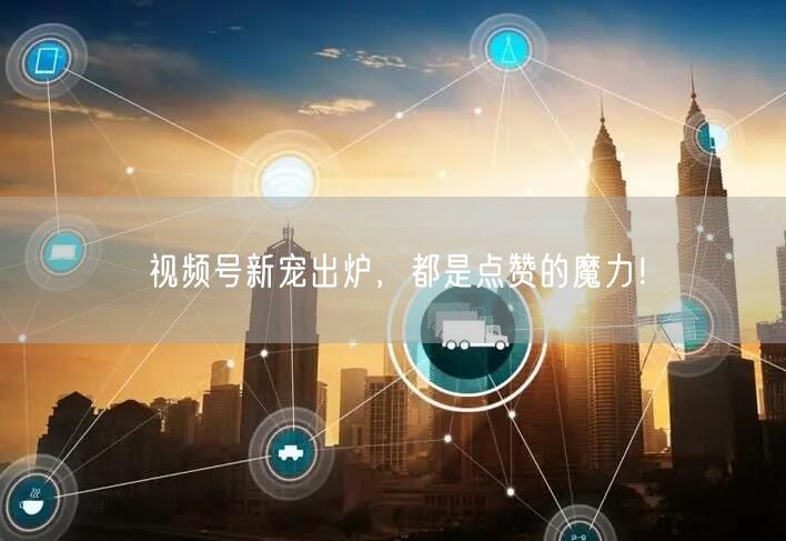 视频号新宠出炉，都是点赞的魔力！